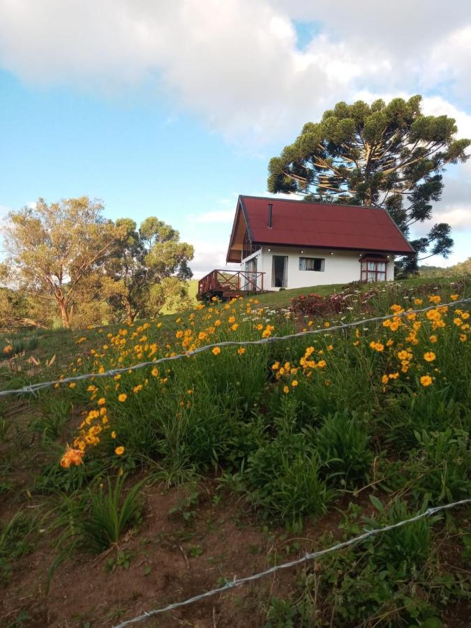Chale Com Vidros E Hidromassagem Vila São Bento do Sapucaí Exterior foto