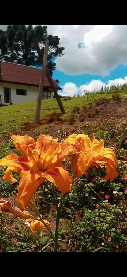 Chale Com Vidros E Hidromassagem Vila São Bento do Sapucaí Exterior foto